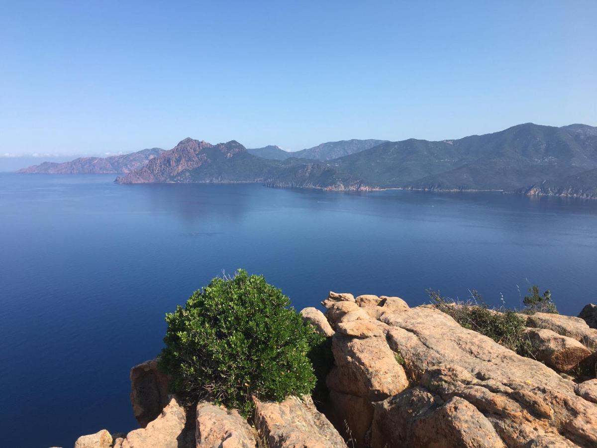 Eco Lodge Carbonaccio Chiatra Kültér fotó