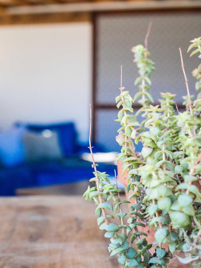 Eco Lodge Carbonaccio Chiatra Kültér fotó